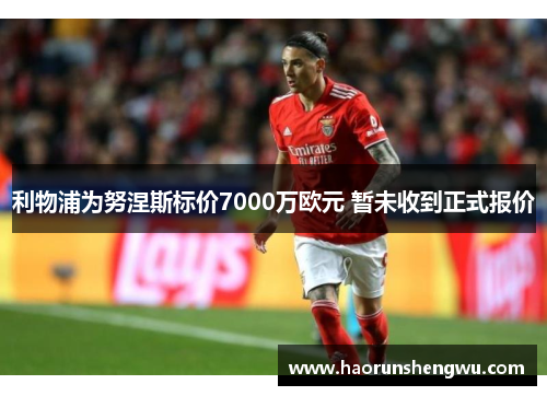 利物浦为努涅斯标价7000万欧元 暂未收到正式报价